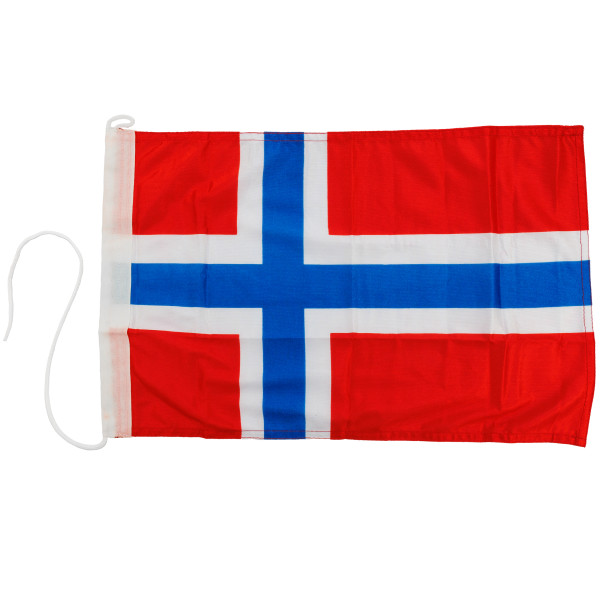FLAGA 30X45 NORWEGIA