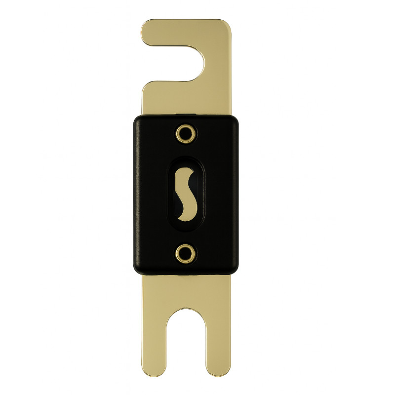 Bezpiecznik Solvian ANL-fuse 200A/100V — zdjęcie 2