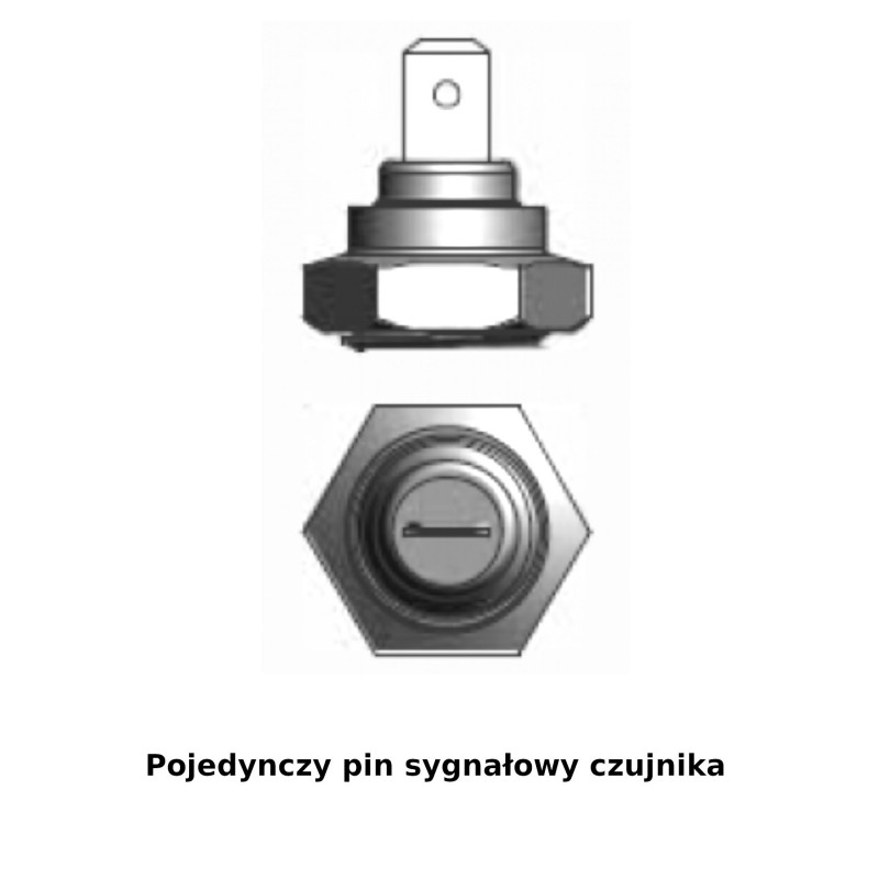 Sensor temperatury WODY/OLEJU, SWN-1, 120C, 3/8-18NPT — zdjęcie 3